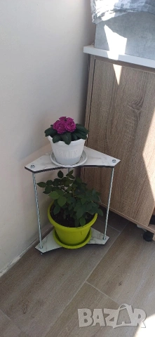 Цветанка за две цветя