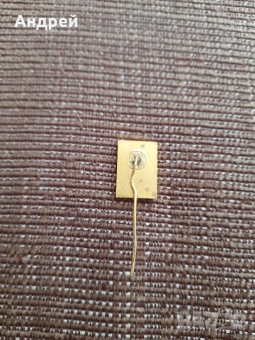 Значка Златно Славейче 1979, снимка 2 - Колекции - 52585775