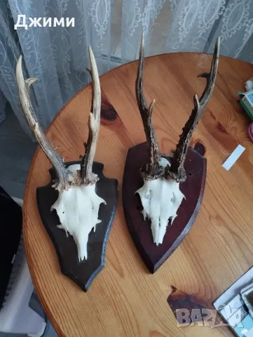 трофеи от сръндак