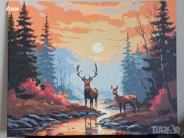 Картини нарисувани по номера- ЖИВОТНИ, снимка 1