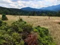 продавам ливада в землището на село Лилково община Родопи, снимка 4