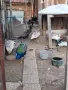 Пауни големи и малки, снимка 5