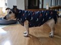 Зимно топло яке за кучета Ropa Para Perro, снимка 10