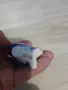 Руски сервиз РИБА ЛФЗ , снимка 7