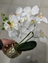 декоративни саксии цветя орхидеи , снимка 4