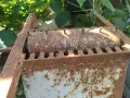 Продавам мелачка за плодове, снимка 2