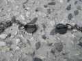СТАР НАКИТ ПРОЧЕЛНИК ТРЕПКА ЗАБОДКА НОСИЯ СБХ , снимка 4