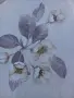 Текстилна мушама , снимка 1