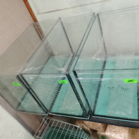 Големи аквариуми Двойно стъкло - Различни размери , снимка 1 - Аквариуми - 44775857