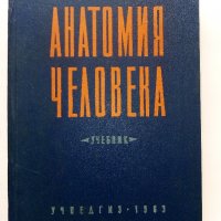 Анатомия Человека - М.Курепикина,Г.Воккен - 1963г. , снимка 2 - Специализирана литература - 39010401