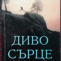 Диво сърце Джон Елдридж, снимка 1 - Други - 36072015