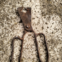 Странна ножица, снимка 1 - Антикварни и старинни предмети - 44708614