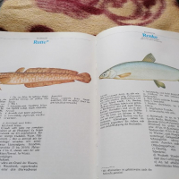 Книга за риболова , снимка 8 - Енциклопедии, справочници - 36168475