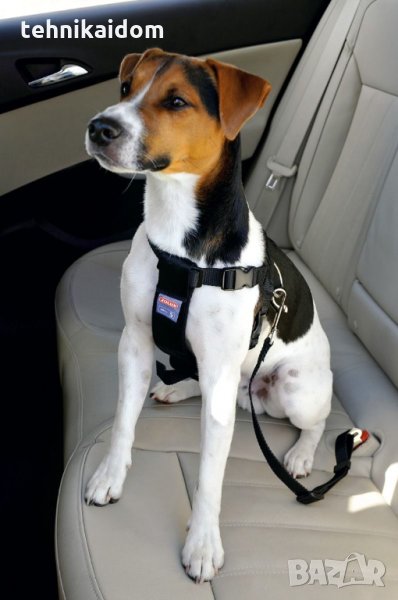 Предпазен колан за кучета за автомобил Zolux последни бройки, снимка 1