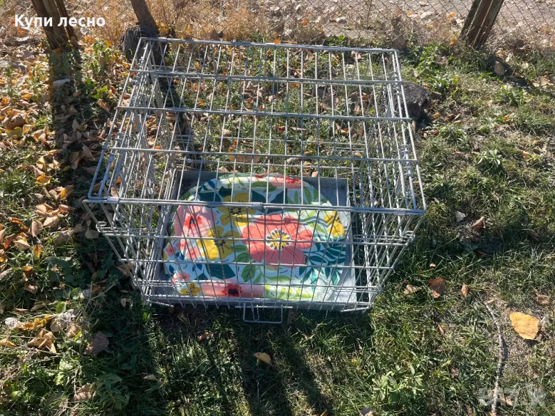 Клетка , снимка 1