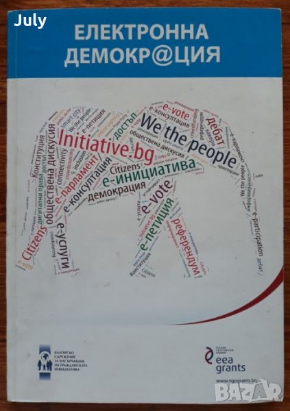 Електронна демокрация, Даниела Божинова, снимка 1