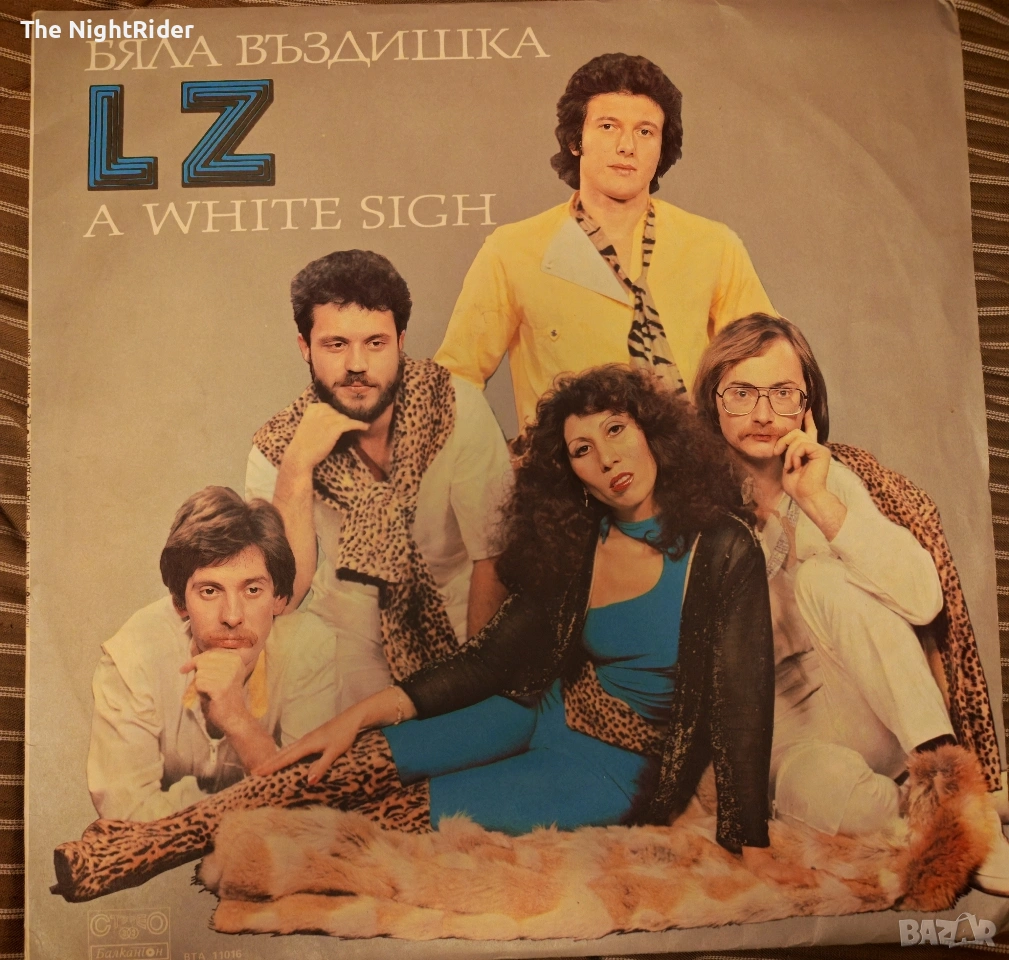 Плоча на група ЛЗ, снимка 1