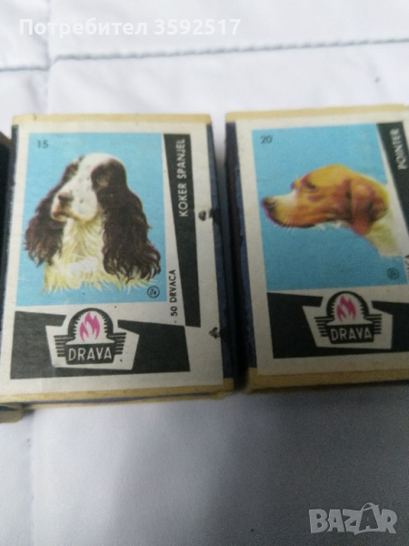 Колекция кибрити без клечки с различни породи кучета, снимка 1