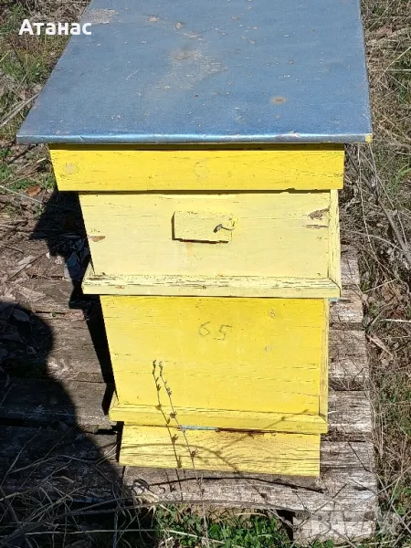 Кошери ДБ, снимка 1