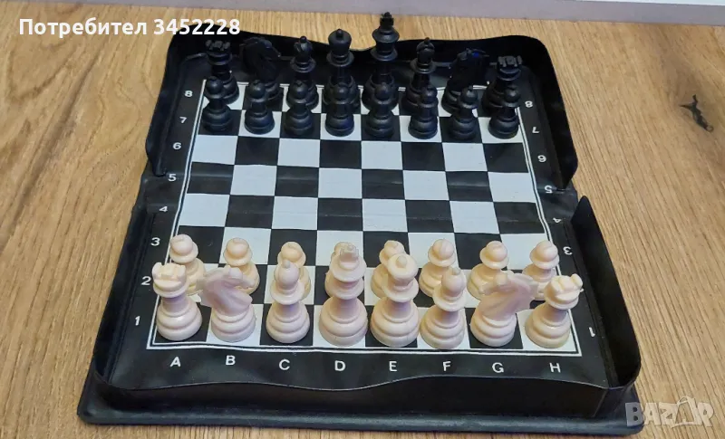 шах магнитен , снимка 1