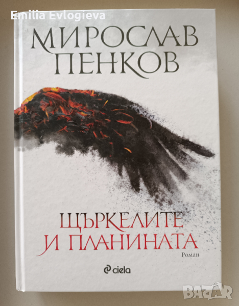 Щъркелите и планината, Мирослав Пенков , снимка 1