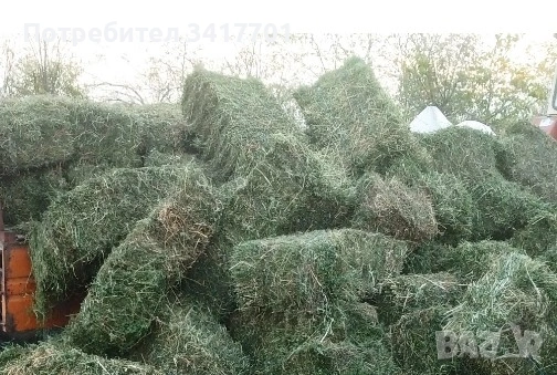 люцерна и овес на малки бали