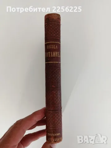 Ръководство по обща ботаника 1898г, снимка 13 - Специализирана литература - 55840243