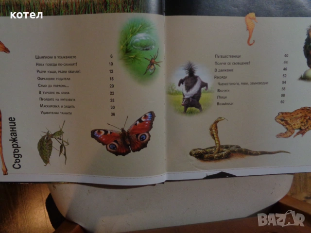 Продавам книгата ; Животните: Триизмерна енциклопедия с 3D илюстрации ., снимка 2 - Енциклопедии, справочници - 53154428