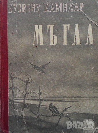 Мъгла Еусебиу Камилар