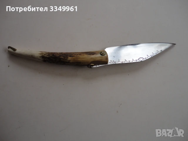 Огромна сойка нож рог гравюри маркирана наваха 