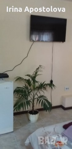 Кокетна боксониера за почивки и нощувки в град Шумен, снимка 8 - Квартири, нощувки - 27240678