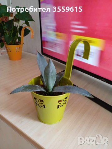 метална кашпа за окачване, снимка 1