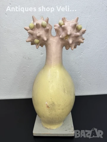 Биологичен модел №7085, снимка 3 - Други ценни предмети - 50781502