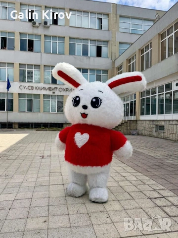 Герои за различни поводи!, снимка 14 - Надуваеми играчки - 53071378