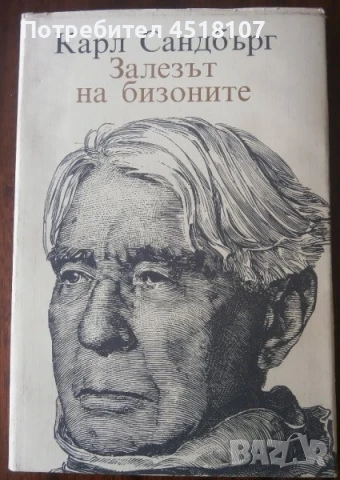 ПОЕЗИЯ И СТИХОВЕ, снимка 2 - Художествена литература - 51422008