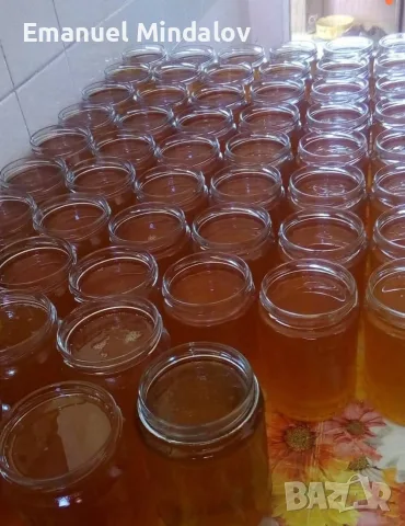 Пчелен мед от с. Правище