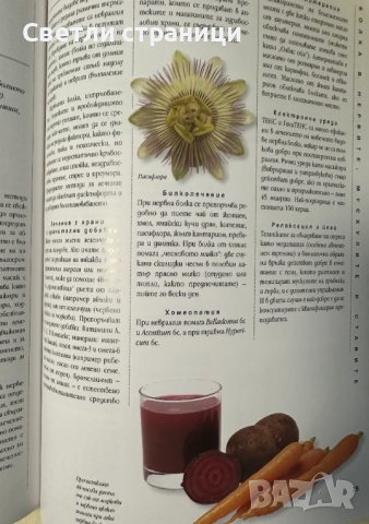 Болката - овладяване с природни средства: Пълно ръководство за самопомощ Безопасни и ефективни лечеб, снимка 4 - Специализирана литература - 44339457