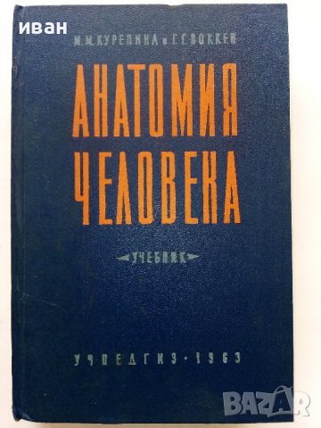 Анатомия Человека - М.Курепикина,Г.Воккен - 1963г. , снимка 2 - Специализирана литература - 39010401