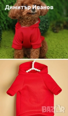 Модерни дрехи за кучета: Суичъри (Худита) с надписи, Пуловер (S, M), снимка 9 - За кучета - 52574699
