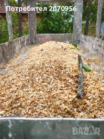 Рязане и кастрене на дървета с автовишка., снимка 3 - Други услуги - 50563832