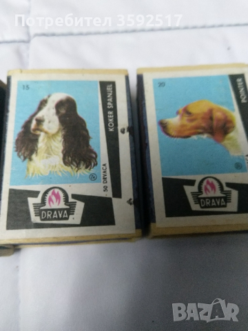 Колекция кибрити без клечки с различни породи кучета, снимка 1 - Нумизматика и бонистика - 44623797