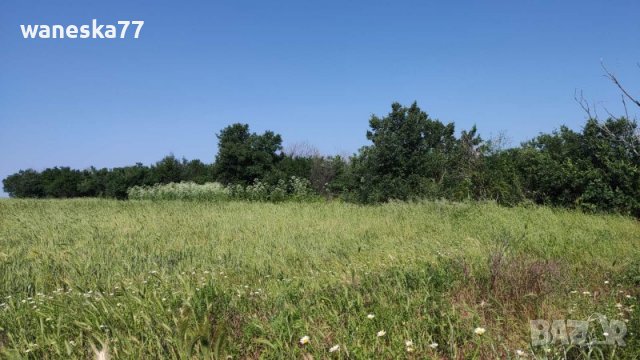 Парцел УПИ, с. Бяло поле, общ. Опан, обл. Стара Загора , снимка 8 - Парцели - 39527875