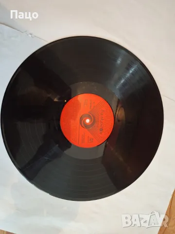 ДАНПТ Пирин, снимка 3 - Грамофонни плочи - 48961124