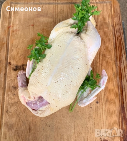 Патици,Пуйки , снимка 4 - Патици и гъски - 51881612