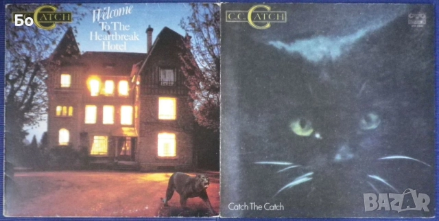 грамофонни плочи с disco / диско музика Sandra, Amanda Lear, Dschinghis Khan,.., снимка 8 - Грамофонни плочи - 52321872