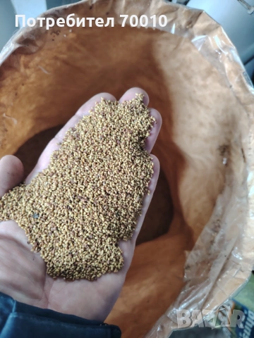 Продавам люцерна семе 