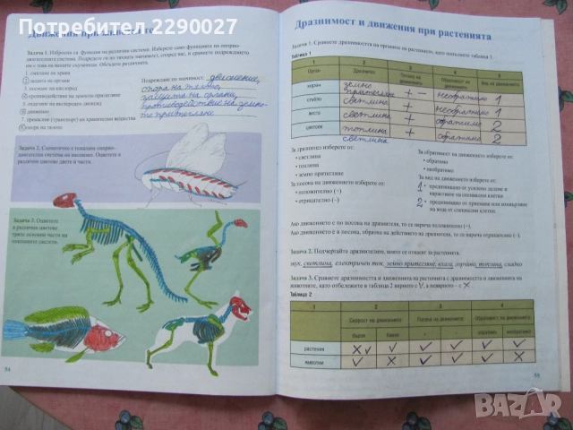 Учебна тетрадка по Човекът и природата за 6 клас - попълнена, снимка 4 - Учебници, учебни тетрадки - 51735699