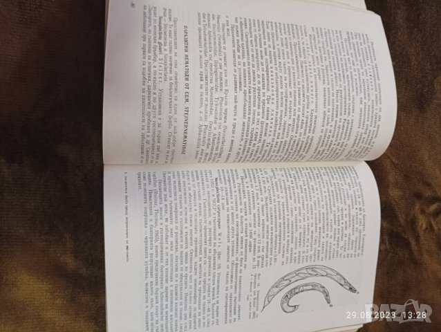 Справочник за лозарство, снимка 2 - Енциклопедии, справочници - 42009751