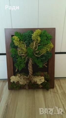 Картини със скандинавски мъх, снимка 9 - Картини - 50048329