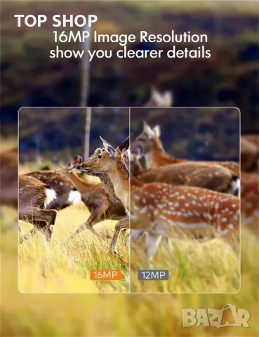 Камера за диви животни APEMAN H45, снимка 2 - Камери - 48777073